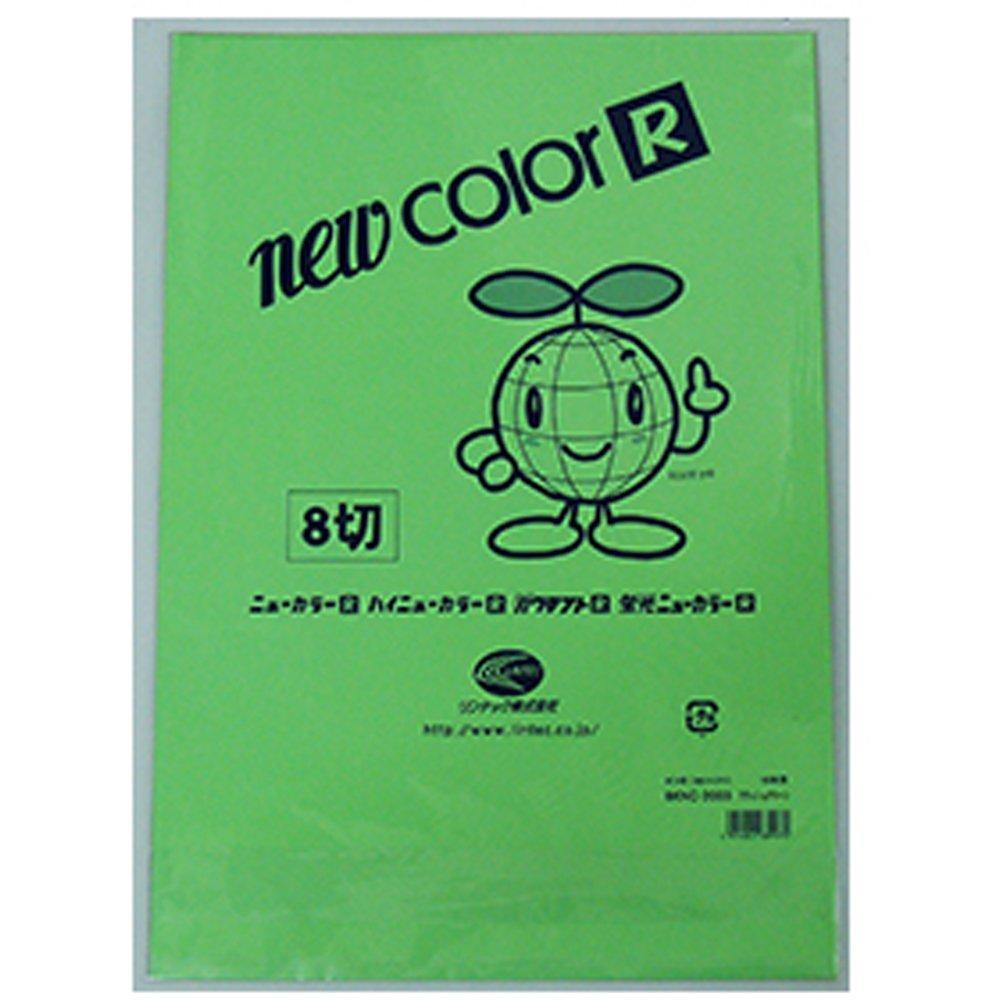 Gokura New Color R Special Colors (Gold/Silver, Fluorescent New Color R) 8x10-inch, 10-sheet set