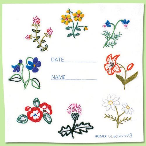 Olympus Silk French Embroidery Kit / Basic Embroidery Steps 3