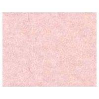 Sunfelt Washable Felt 18-Sided (Individually Packaged) Approx. 18×18cm RN-02