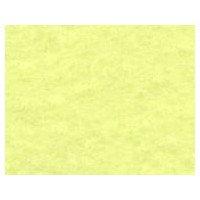 Sanfelt Washable Felt 18-Sided (Individually Packaged) Approx. 18×18cm RN-07