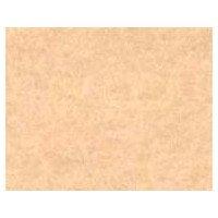 Sanfelt Washable Felt 18-Sided (Individually Packaged) Approx. 18×18cm RN-22