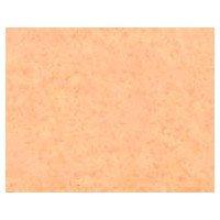 Sunfelt Washable Felt 18-Sided (Individually Packaged) Approx. 18×18cm RN-27