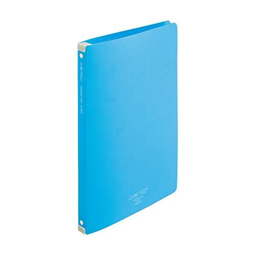 Rihitorabu File Holder for A4 Clear Files CUBEFIZZ S-Type Blue N6400-8