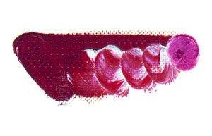 Mazda Quick Oil Paint No. 6 20mL, 64 Colors Total