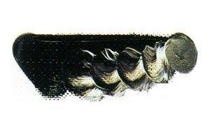 Mazda Quick Oil Paint No. 6 20mL, 64 Colors Total