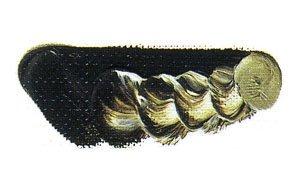 Mazda Quick Oil Paint No. 6 20mL, 64 Colors Total