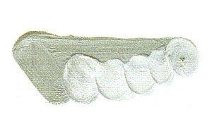 Mazda Quick Oil Paint No. 6 20mL, 64 colors total