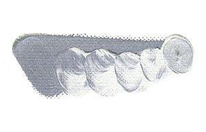 Mazda Quick Oil Paint No. 6 20mL, 64 Colors Total