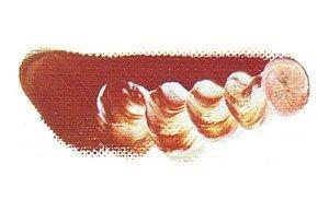 Mazda Quick Oil Paint No. 6 20mL, 64 Colors Total