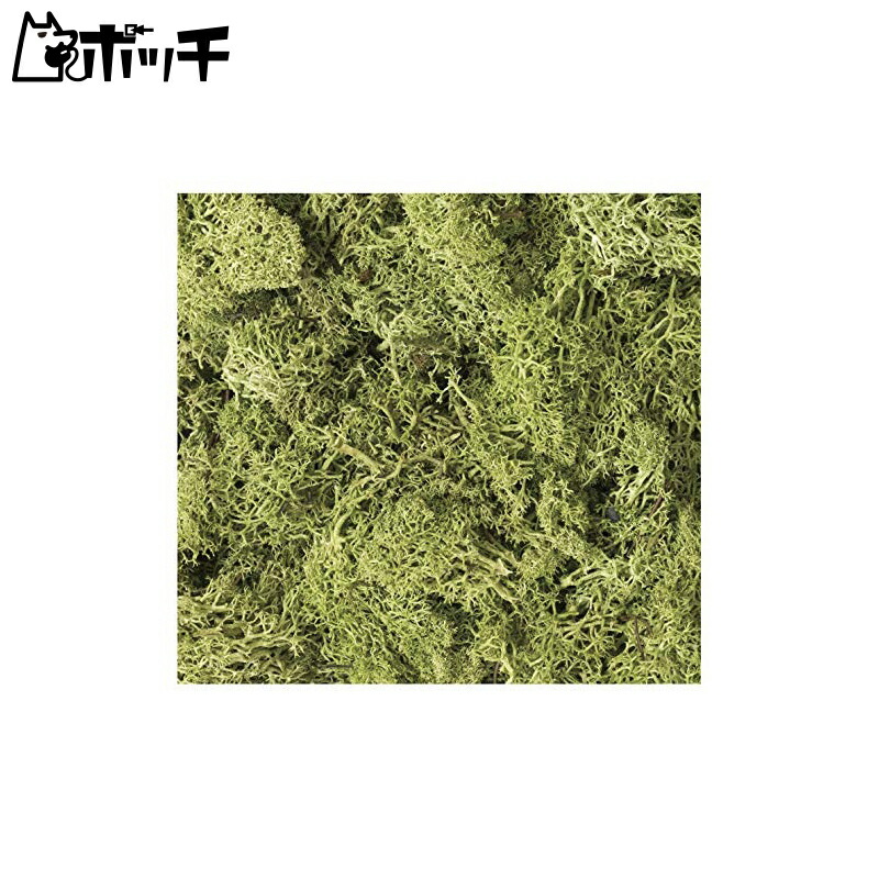 KATO Diorama Supplies Natural Material Plants Light Green 24-332 Model Railroad Supplies