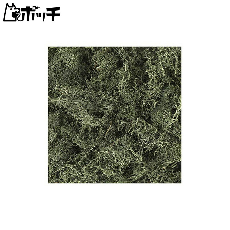 KATO Diorama Supplies Natural Material Plants Dark Green 24-555 Model Railroad Supplies