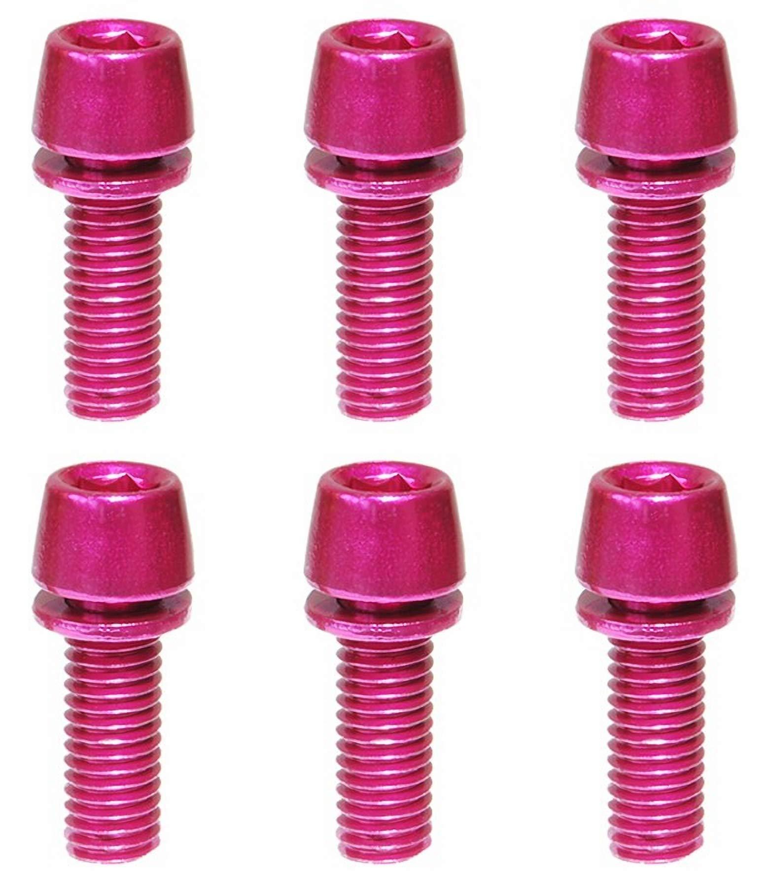 Stainless Steel Collar Bolt (M5×15)