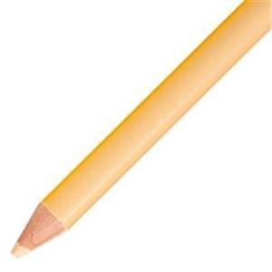 Tombow Colored Pencils 1500 Single Color Light Orange 1 Dozen 1500-29