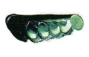 Mazda Quick Oil Paint No. 6 20mL, 64 colors total