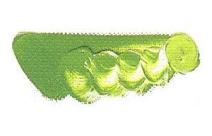 Mazda Quick Oil Paint No. 6 20mL, 64 Colors Total