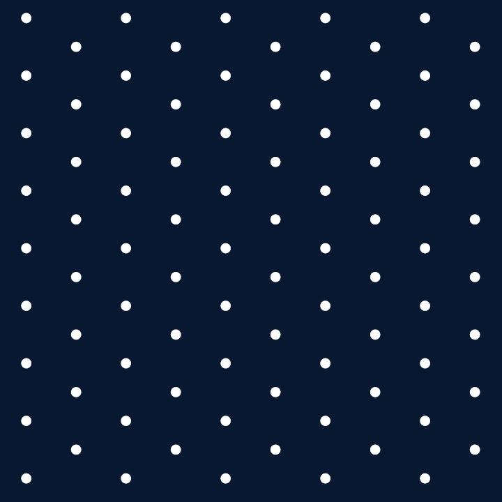 Olimpas Silk Sashiko Fabric Pack Sashiko Flower Dishcloth Single-Stitch Guide Included Sarashi Cotton - Dot Diamond Grid - (Indigo) H-2056 *Includes water-soluble pattern *Thread sold separately