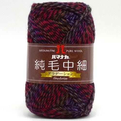 Autumn/Winter Yarn ‘Pure Wool Medium Weight (Gradient) Color 106’ Hamanaka 1043