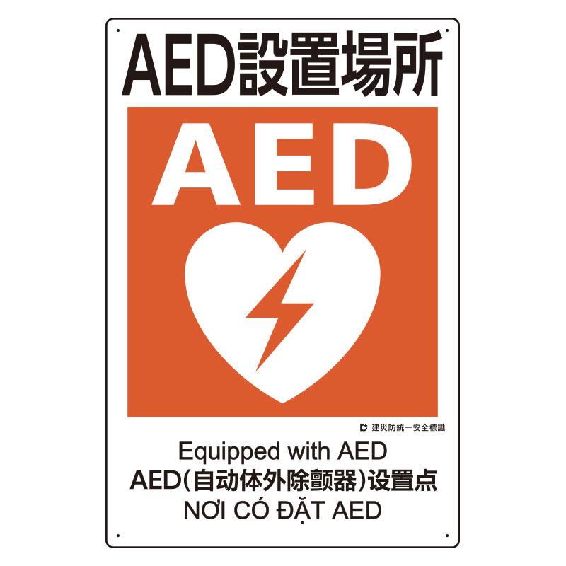 Esco EA983BV-116 450x300mm Construction Site Safety Sign (AED EA983BV-116)
