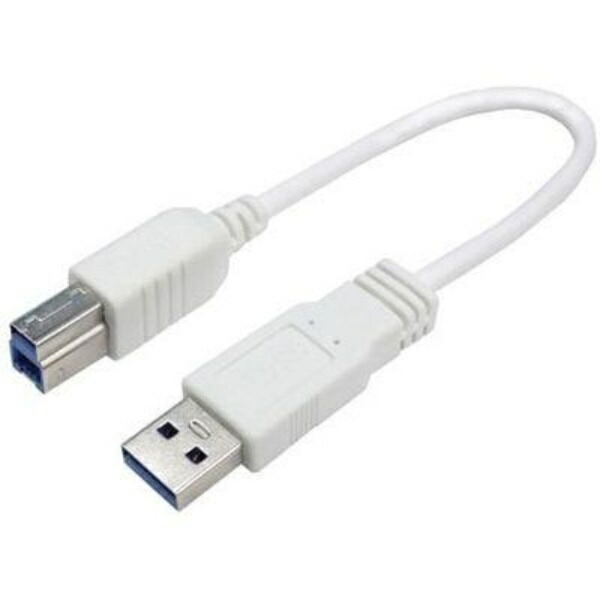 Conversion Master USB 3.0 Cable 20cm [ Type A Male to Type B Male ] USB3A-B/CA20