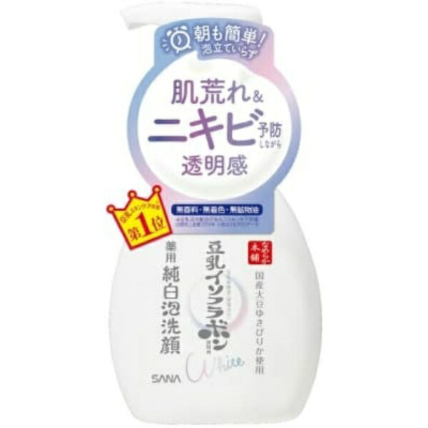 Sana Smooth Skin Shop Medicated Foaming Cleanser