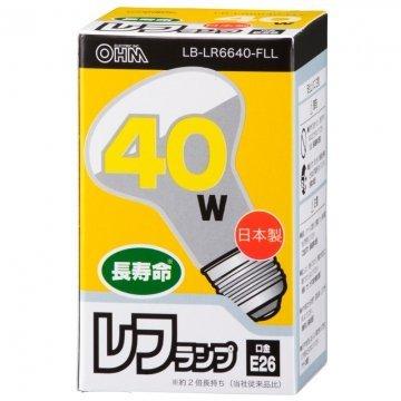 Reflector Lamp 40W/E26 06-1829