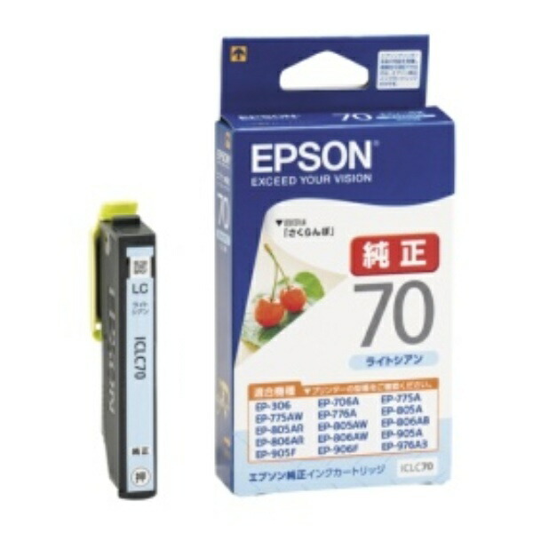 Epson Ink Cartridge Light Cyan ICL70 1 piece