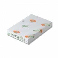 Hokuetsu Kishu Kishu Paper Manufacturing Paper new Fine Color A4 500 sheets Light Green knflga 4 63890525