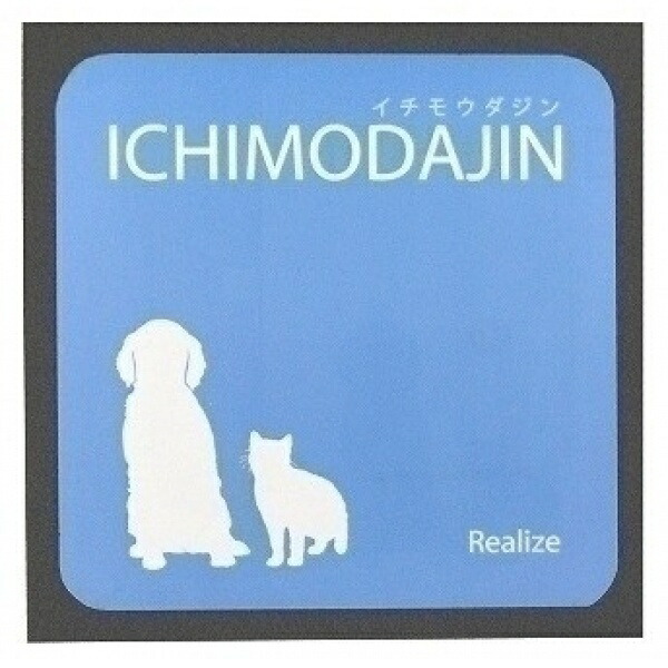 Realize One-Stroke Cleanup For Sofas & Car Seats For Dogs & Cats