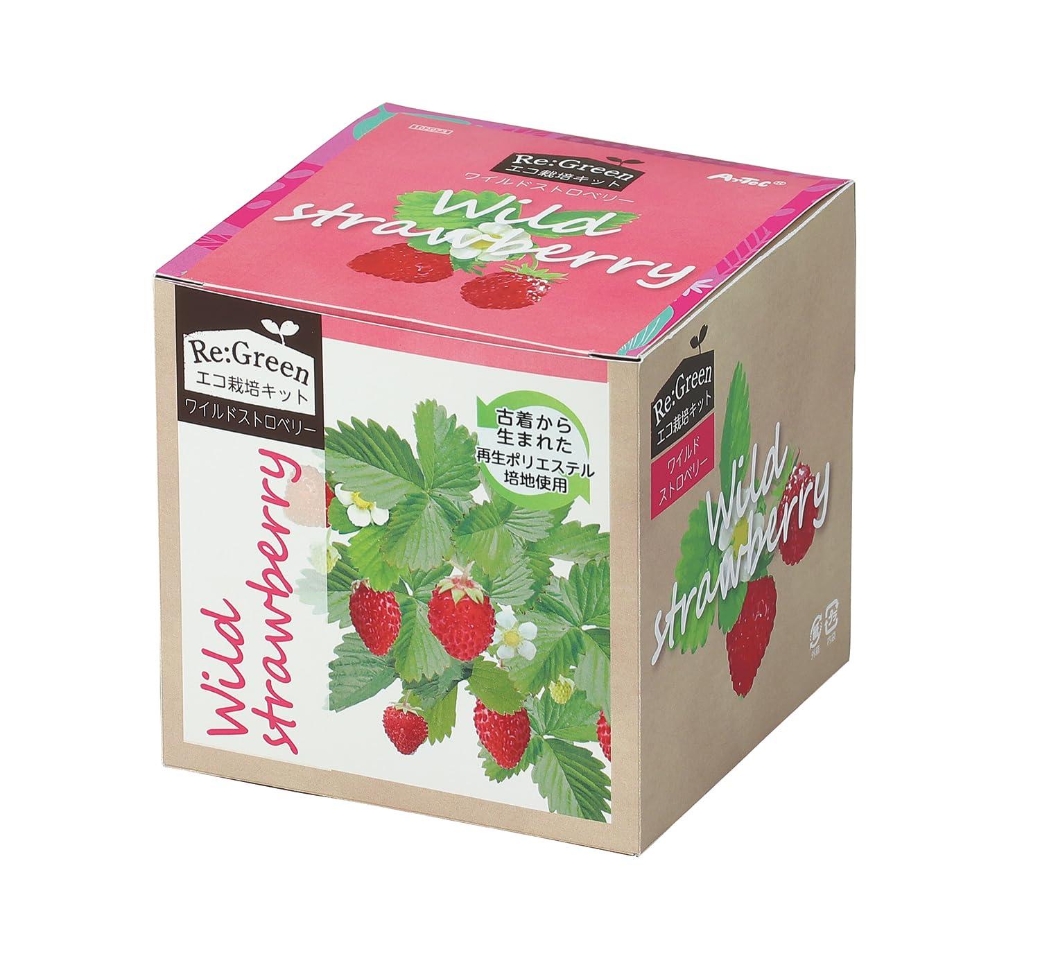 Eco Cultivation Kit Re:Green Wild Strawberry