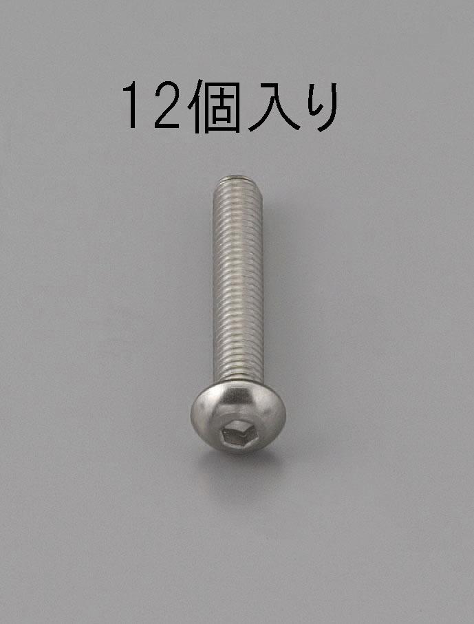 M6x12mm Hex Socket Head Cap Screw (Stainless Steel / 12 pcs)