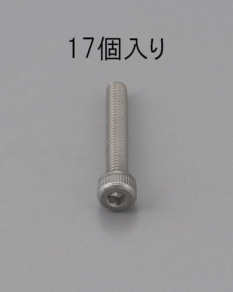M6x10mm Hex Socket Head Cap Screw (Stainless Steel / 17 pcs)