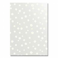 Heyco Clear OPP Bags Crystal Pack Lovely 20×28cm 50 Sheets M-1