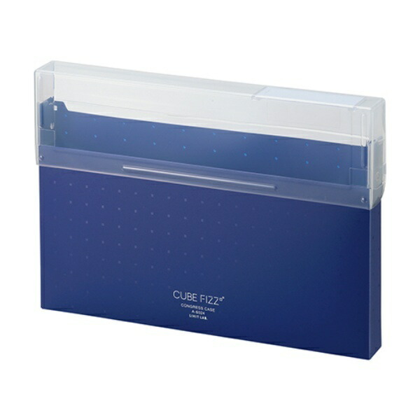 Rihitora Document File Case Congress Case A4 CUBE FIZZ Navy Opaque A6024-11