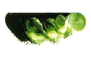 Mazda Super Oil Paint Single Color No. 6 20mL - 101 Colors Total