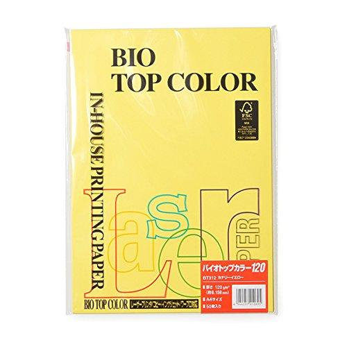ITOYA Biotop Color Canary Yellow [BT312]