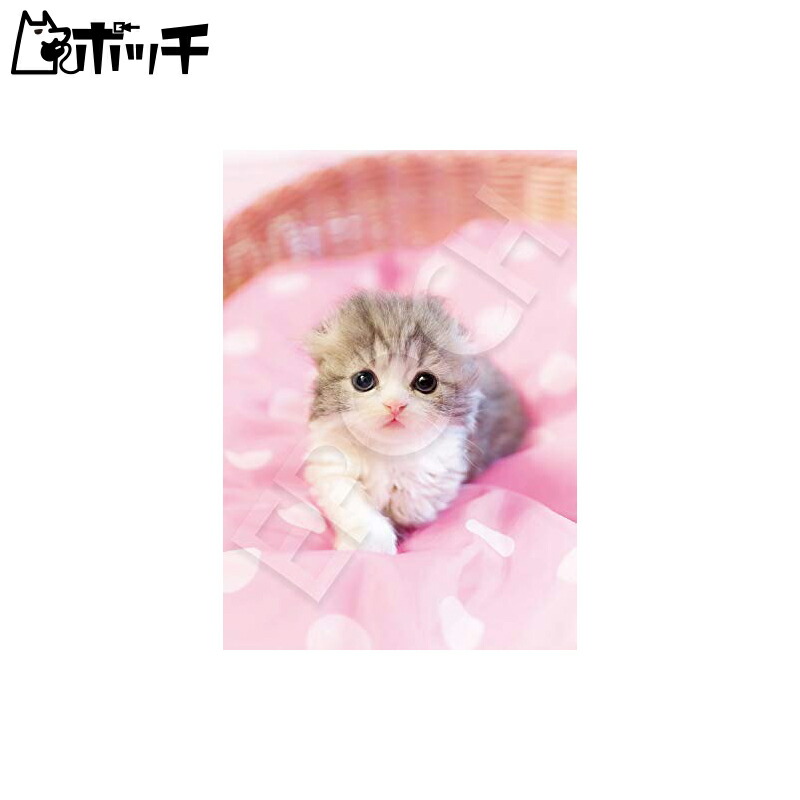 EPOCH 108-Piece Jigsaw Puzzle: Animals/Pets - Cat with Big Round Eyes (18.2×25.7cm) 01-074 Includes Glue, Spatula, and Point Card