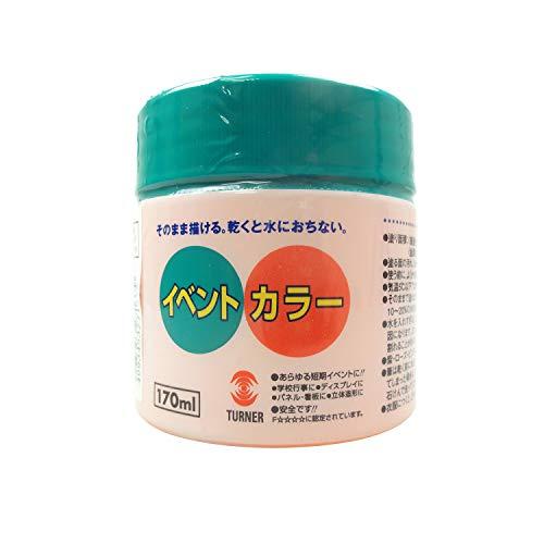 Turner Color Acrylic Paint Event Color Fluorescent Orange EV170204 170ml (No. 30)