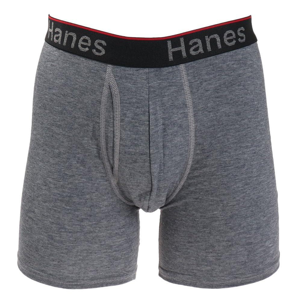 [Hanes] Moisture-Wicking Quick-Dry Antibacterial Odor Control (Fresh IQ) 1P Comfort Flex Fit Total Support Pouch Boxer Briefs HM6EW101 Men's Silver Gray LL
