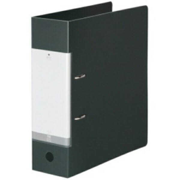 Rihitorabu Ring Binder 2-Hole D-Type A4S 750 Sheets Black G2290-24