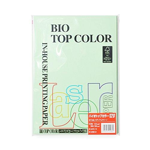 ITOYA Biotop Color Medium Green [BT306]