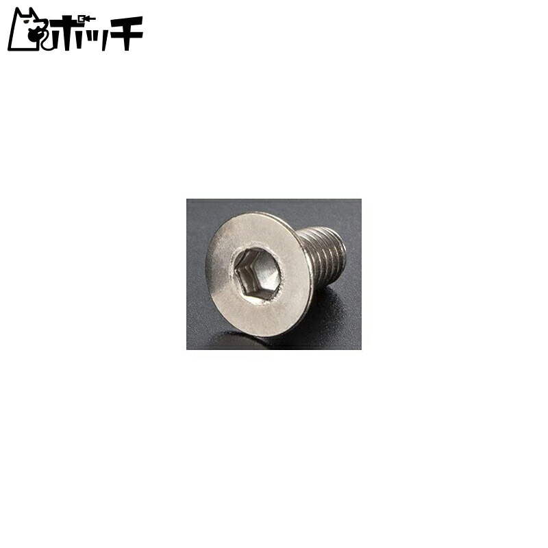 AXON SPRING TITANIUM SCREW (Flat Head 3mm x 6mm 10pic) Titanium Screw NT-F3-062