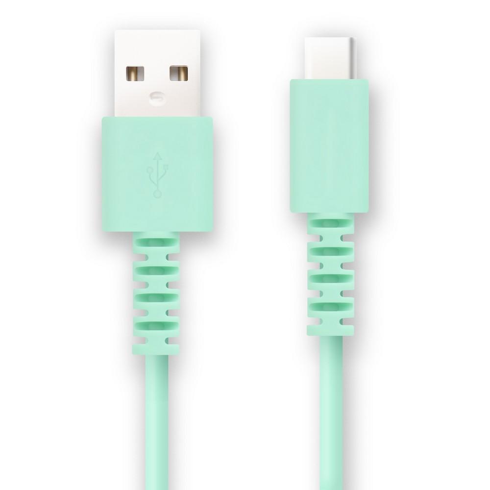 FSC Type-C Cable 2M FS-UAC200-BL