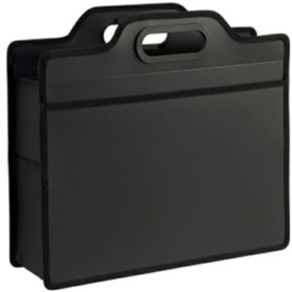 Lion Office Supplies Carrying Bag Bizcal A4 Horizontal BK-353B Black
