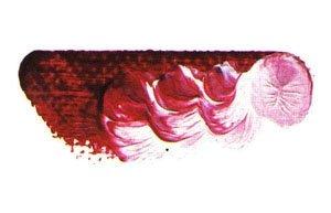 Mazda Super Oil Paint Single Color No. 6 20mL - 101 Colors Total