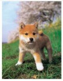 Yanoman 108-Piece Jigsaw Puzzle Large Pieces Dog: “I'm a Shiba Inu!” (26x38cm) 01-2071 Includes: Piece Request Postcard, Glue, Spatula, Service Card, Jigsaw Puzzle Instructions