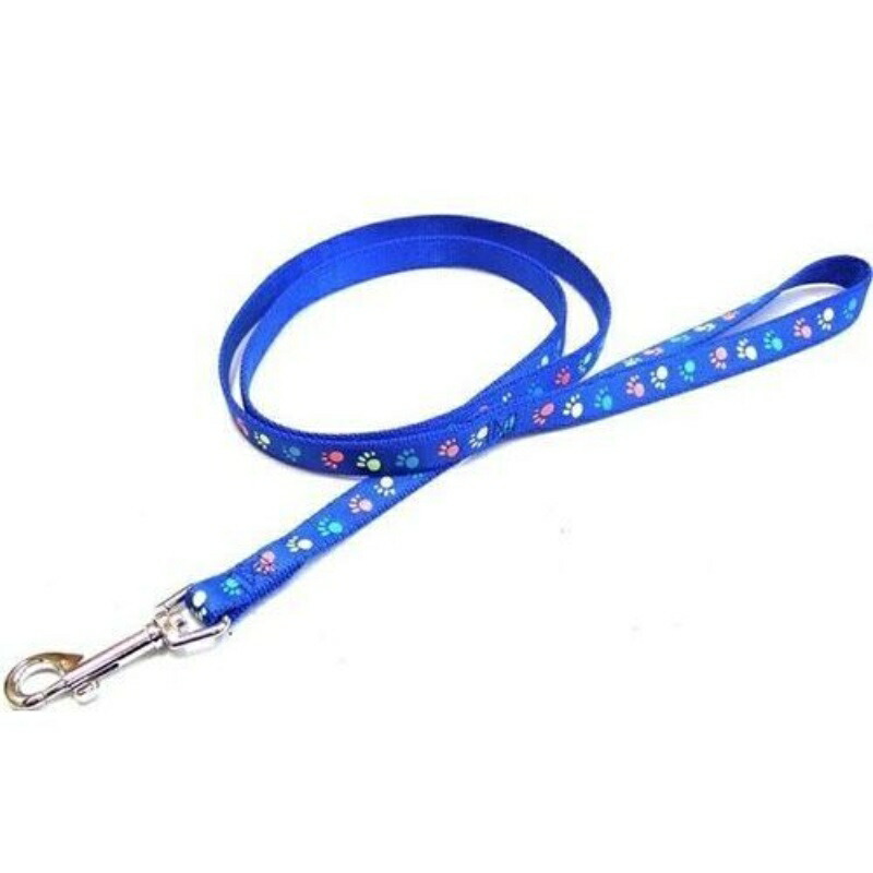 Okano ONS Glow-in-the-Dark Foot Lead #15 Blue (Small Dog)