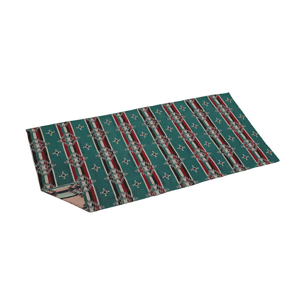 CAPTAIN STAG Rug Leisure Sheet Mat Rug Mat 100×180cm with Storage Bag Blue CS Native UP-2590