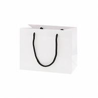 HEIKO Handle Paper Bag Bright Bag 23-12 White MT 10 Sheets 006138910 1 Pack (10 Sheets)
