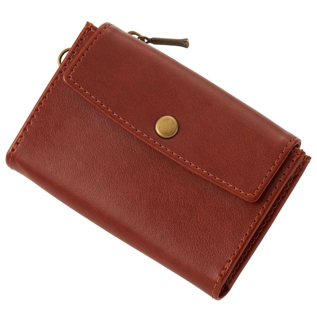 Reimei Fujii Coin Case Gloire Brown GLH1305C