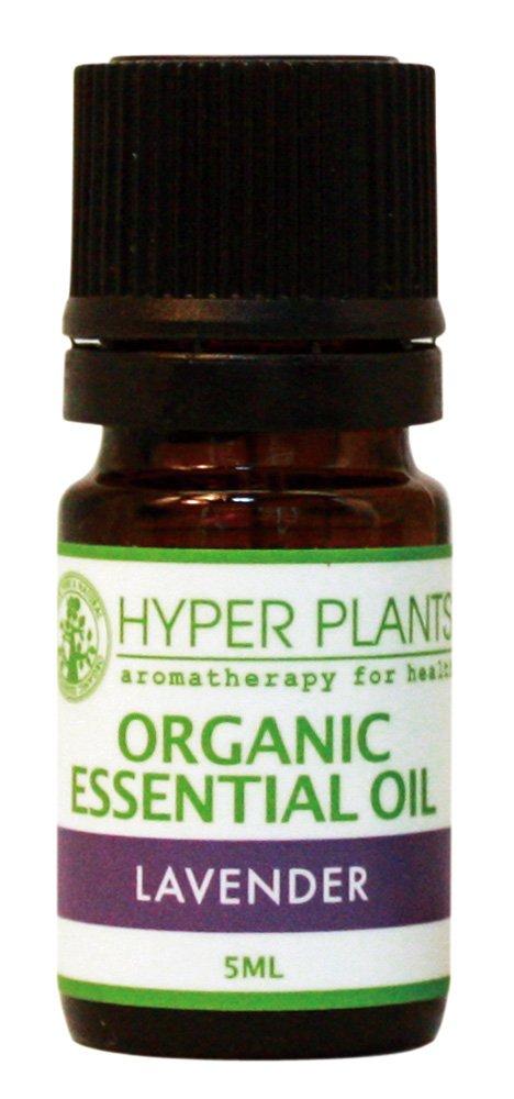 Hyper Plants Organic Essential Oil Lavender (True) 5ml